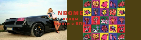 мдпв Горнозаводск