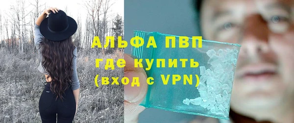 jwh Пересвет