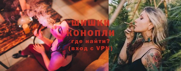 jwh Пересвет