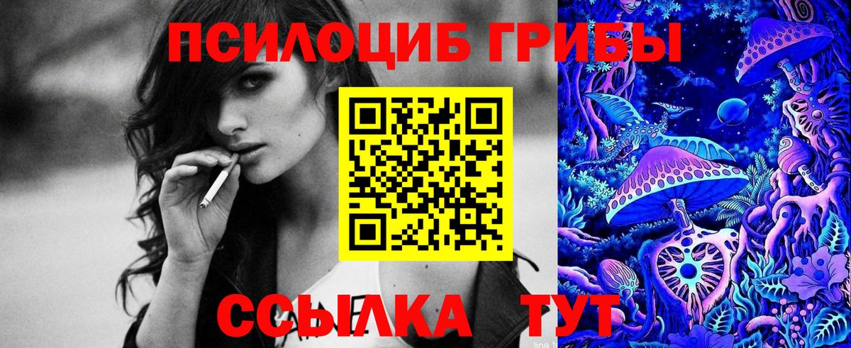 даркнет сайт  Клинцы  Псилоцибиновые грибы ЛСД  Псилоцибиновые грибы GOLDEN TEACHER 