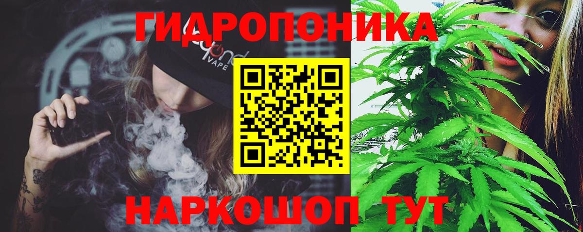 Каннабис план  Марихуана Bruce Banner  Бошки Шишки планчик  Клинцы  Вход с VPN 
